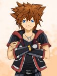 Sora1.jpg