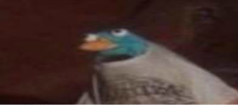 204.png
