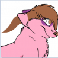 FurryFilmaker